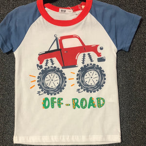 1000 Car and Truck Shirts